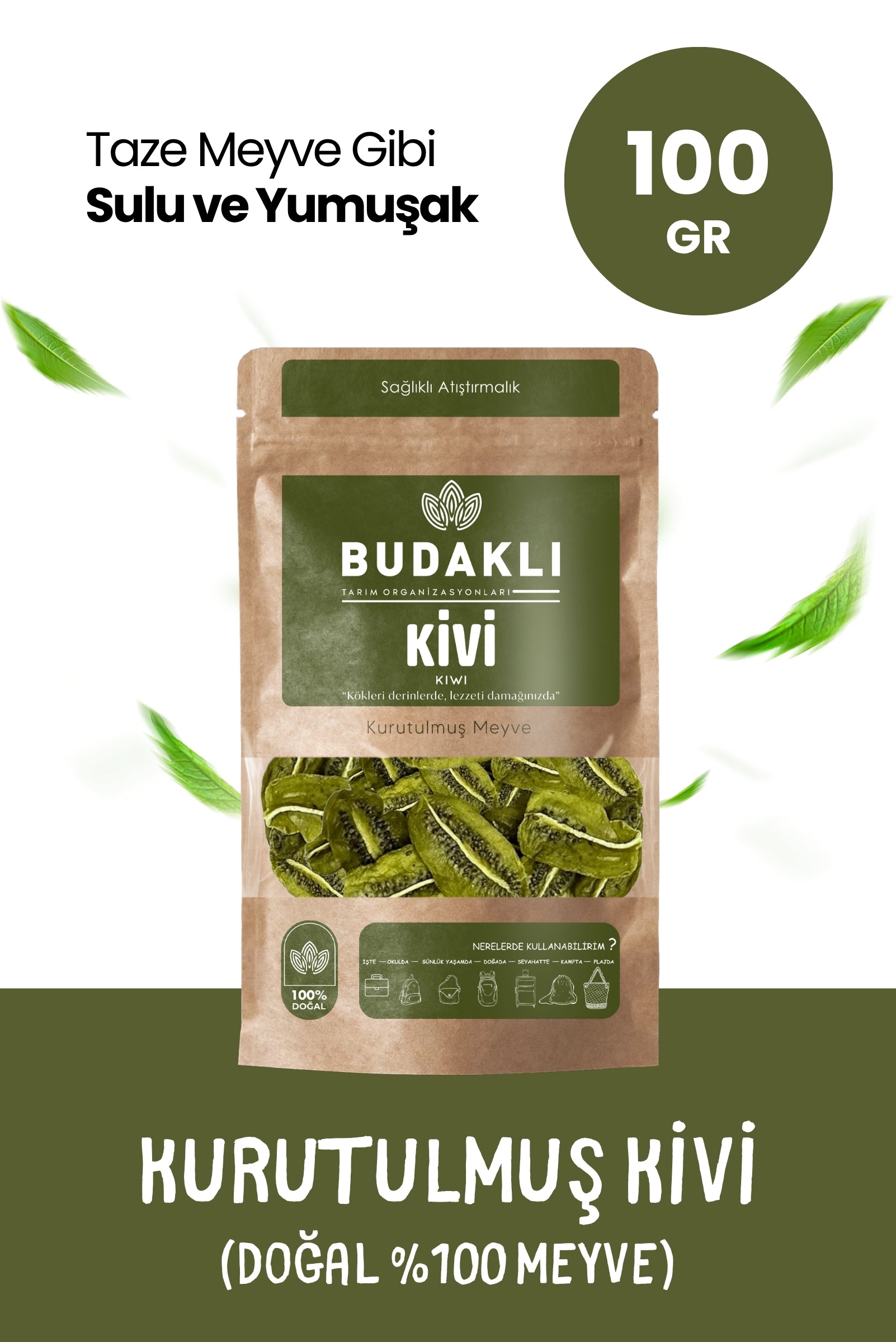 Budaklı Tarım Kurutulmuş Kivi 100 Gr | İlave Şeker İçermez