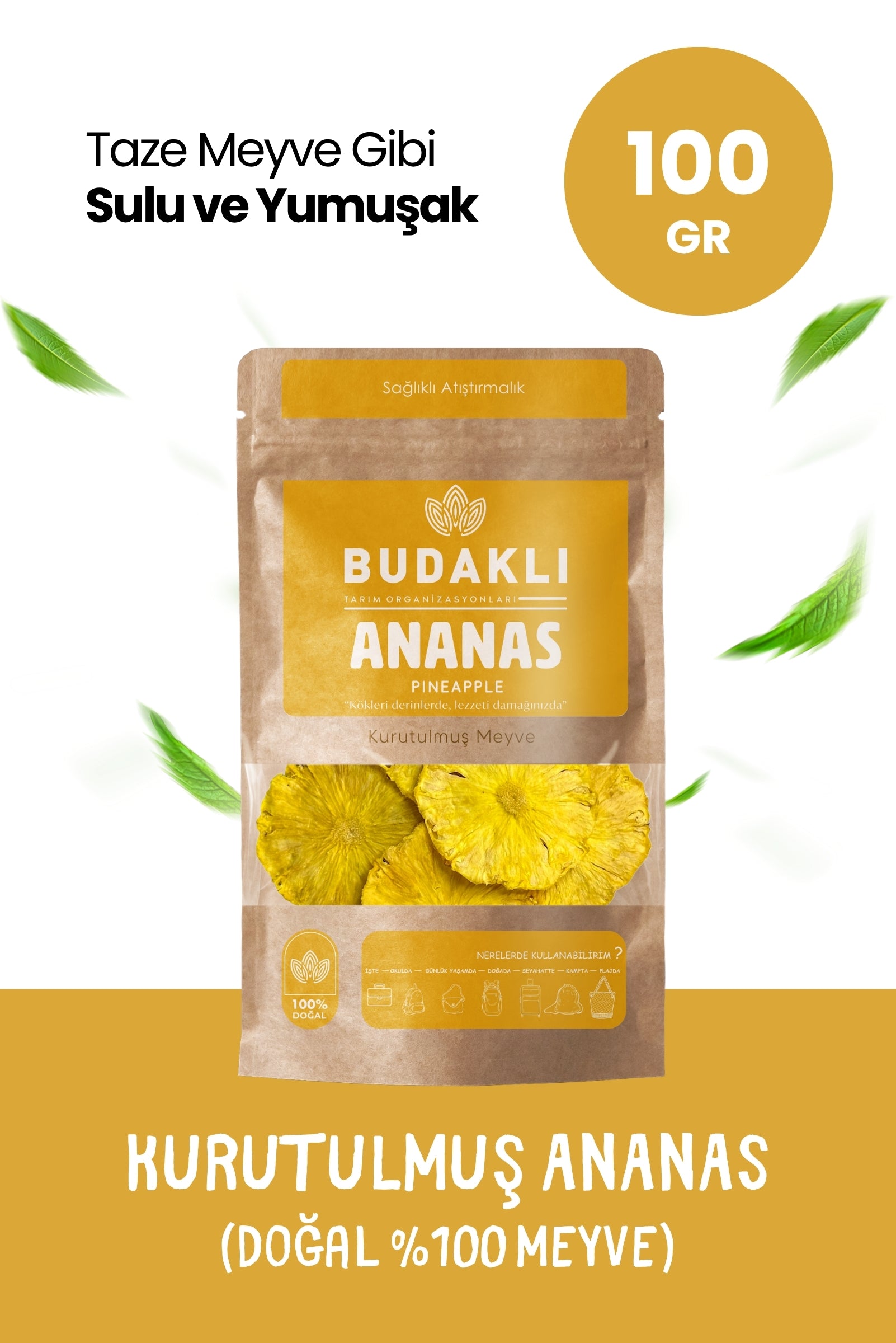 Budaklı Tarım Kurutulmuş Ananas 100 Gr | İlave Şeker İçermez