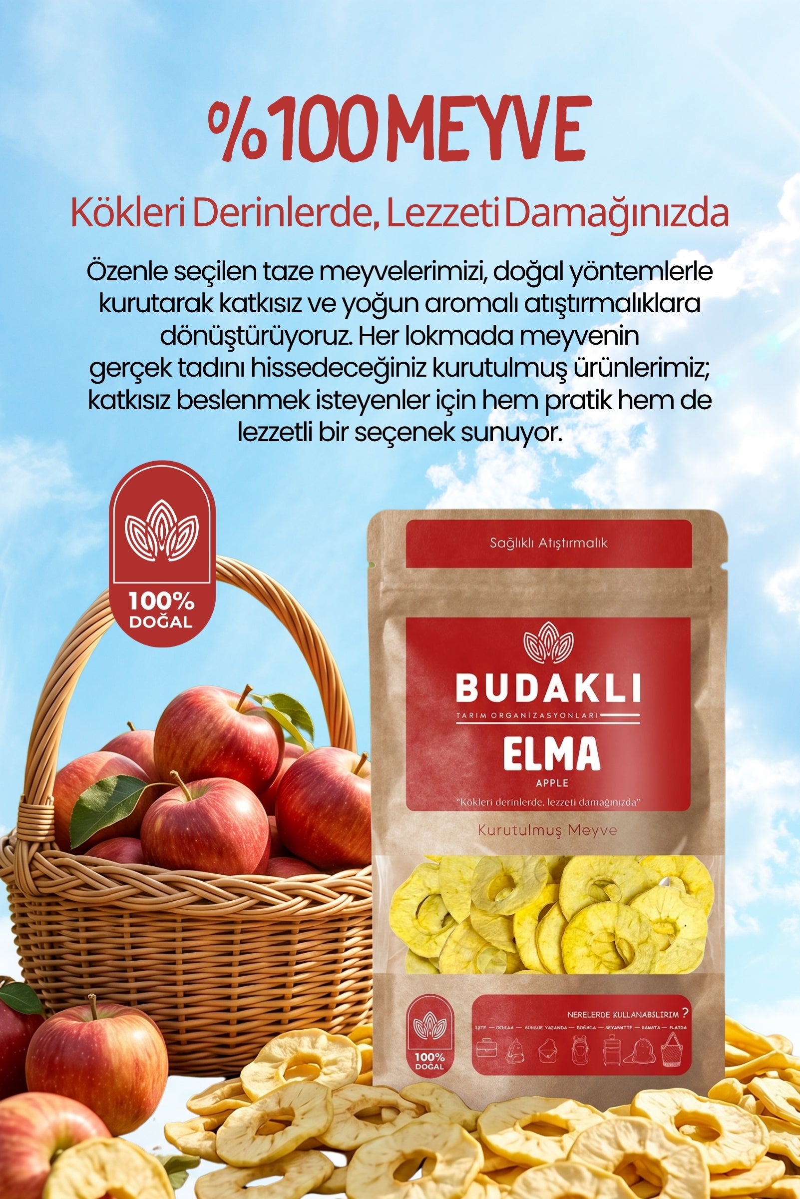 Budaklı Tarım Kurutulmuş Elma 100 Gr | İlave Şeker İçermez