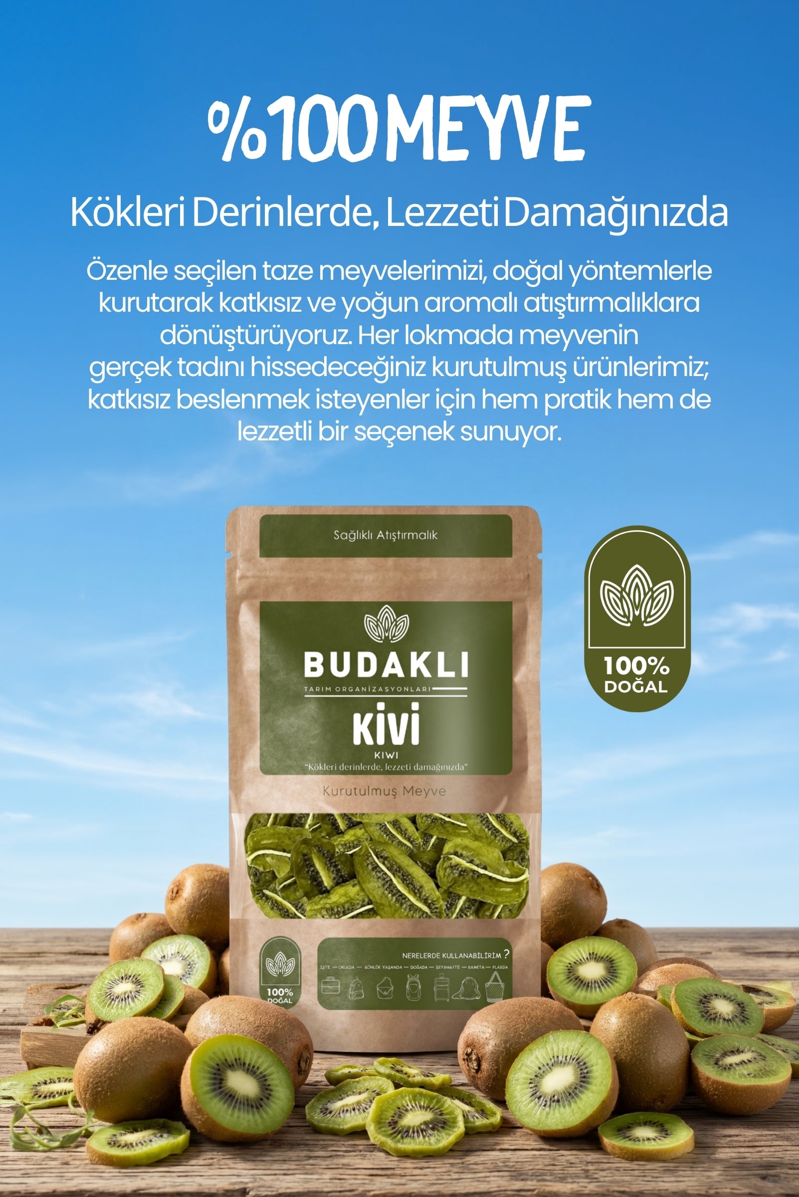 Budaklı Tarım Kurutulmuş Kivi 100 Gr | İlave Şeker İçermez