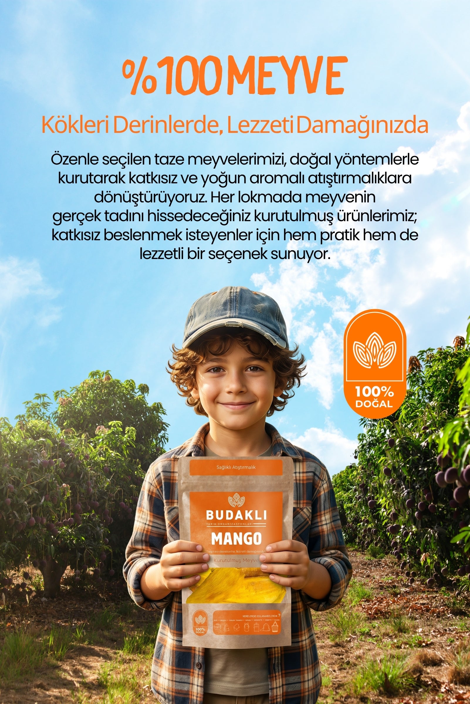 Budaklı Tarım Kurutulmuş Mango 100 Gr | İlave Şeker İçermez
