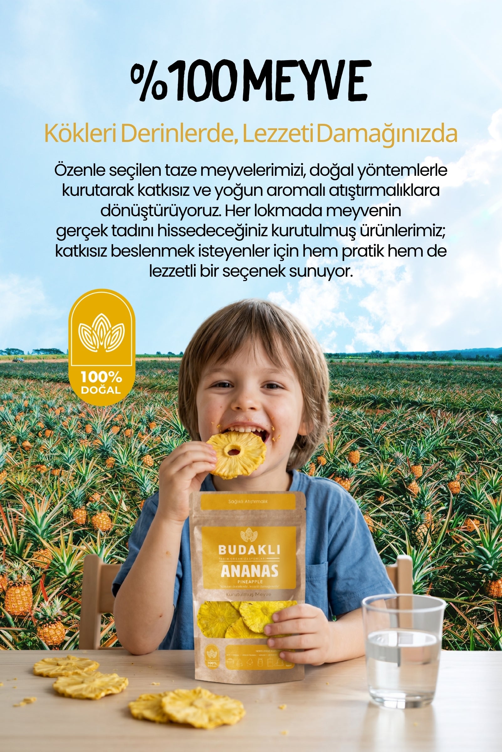 Budaklı Tarım Kurutulmuş Ananas 100 Gr | İlave Şeker İçermez