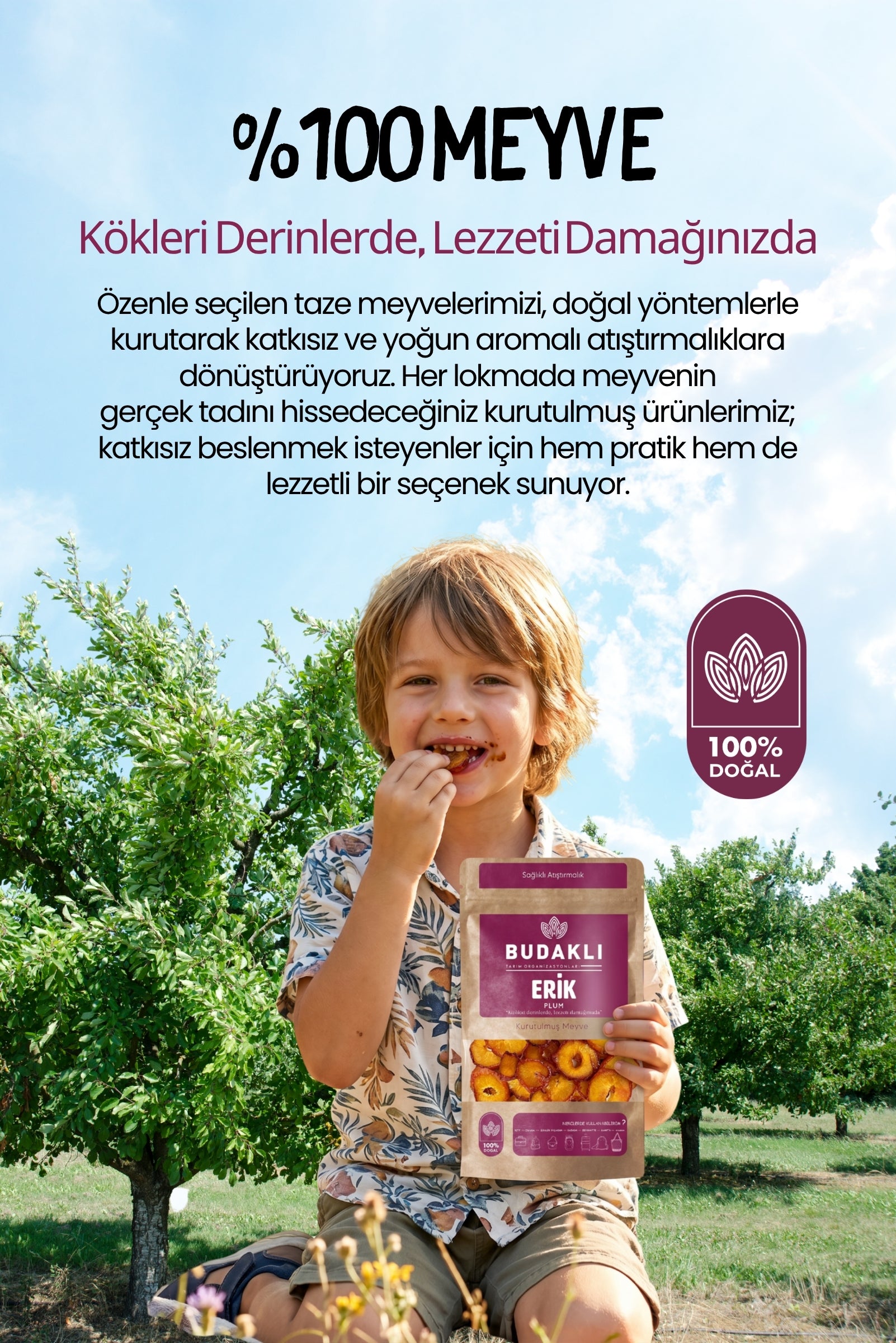 Budaklı Tarım Kurutulmuş Erik 100 Gr | İlave Şeker İçermez