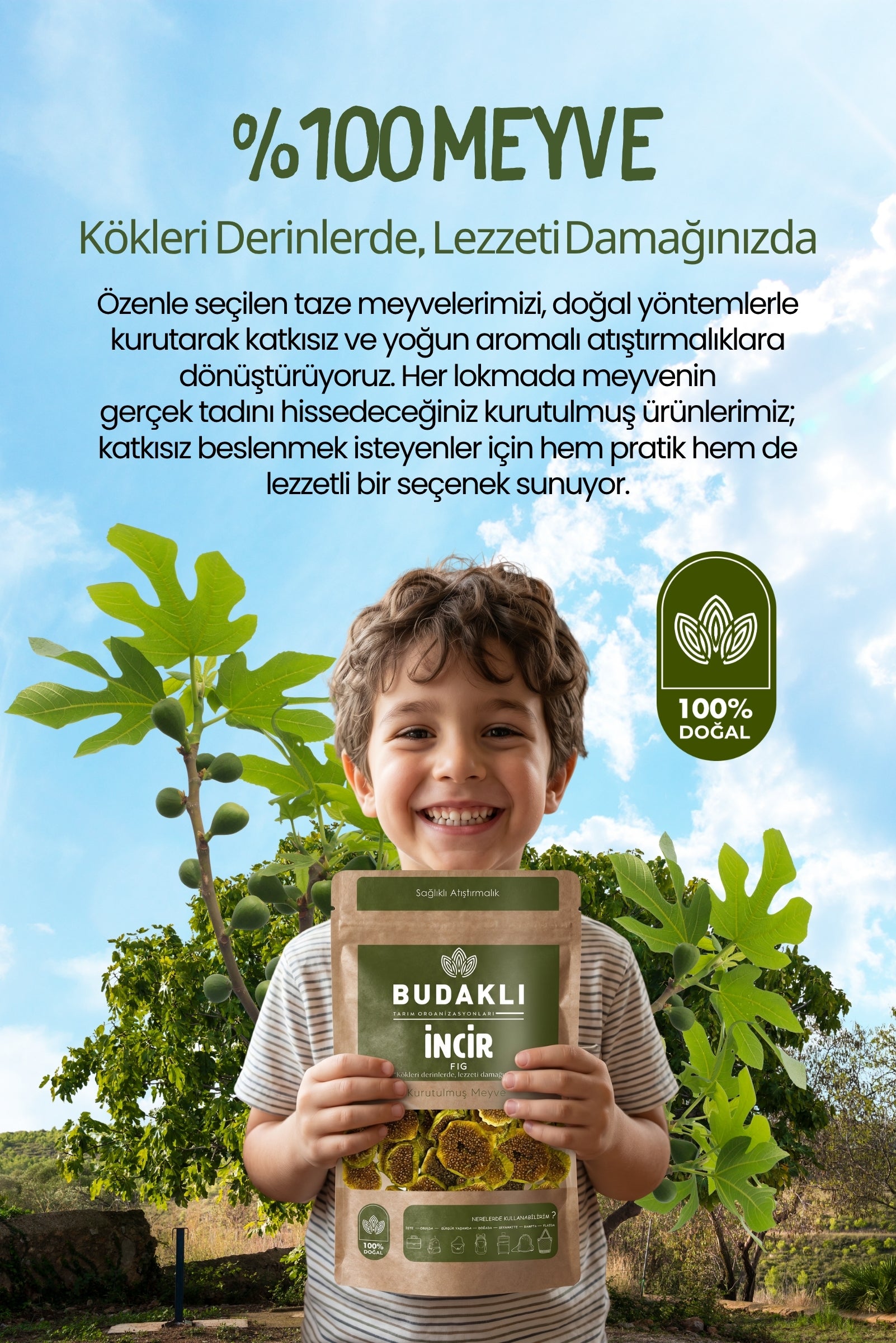 Budaklı Tarım Kurutulmuş İncir 100 Gr | İlave Şeker İçermez