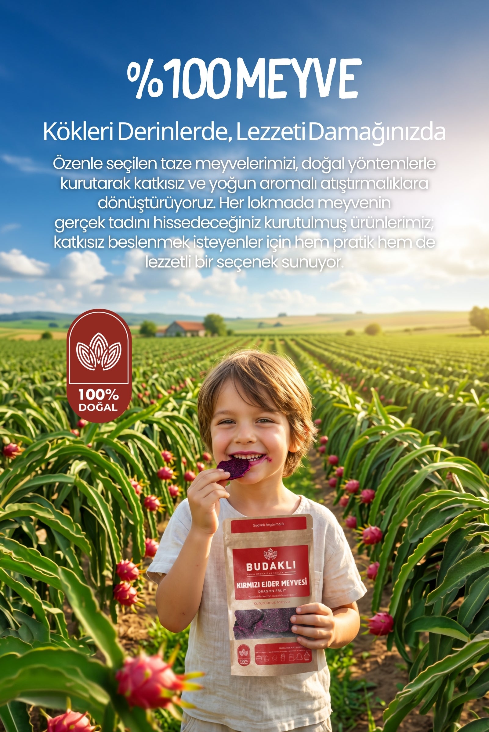 Budaklı Tarım Kurutulmuş Kırmızı Ejder Meyvesi 100 Gr | İlave Şeker İçermez