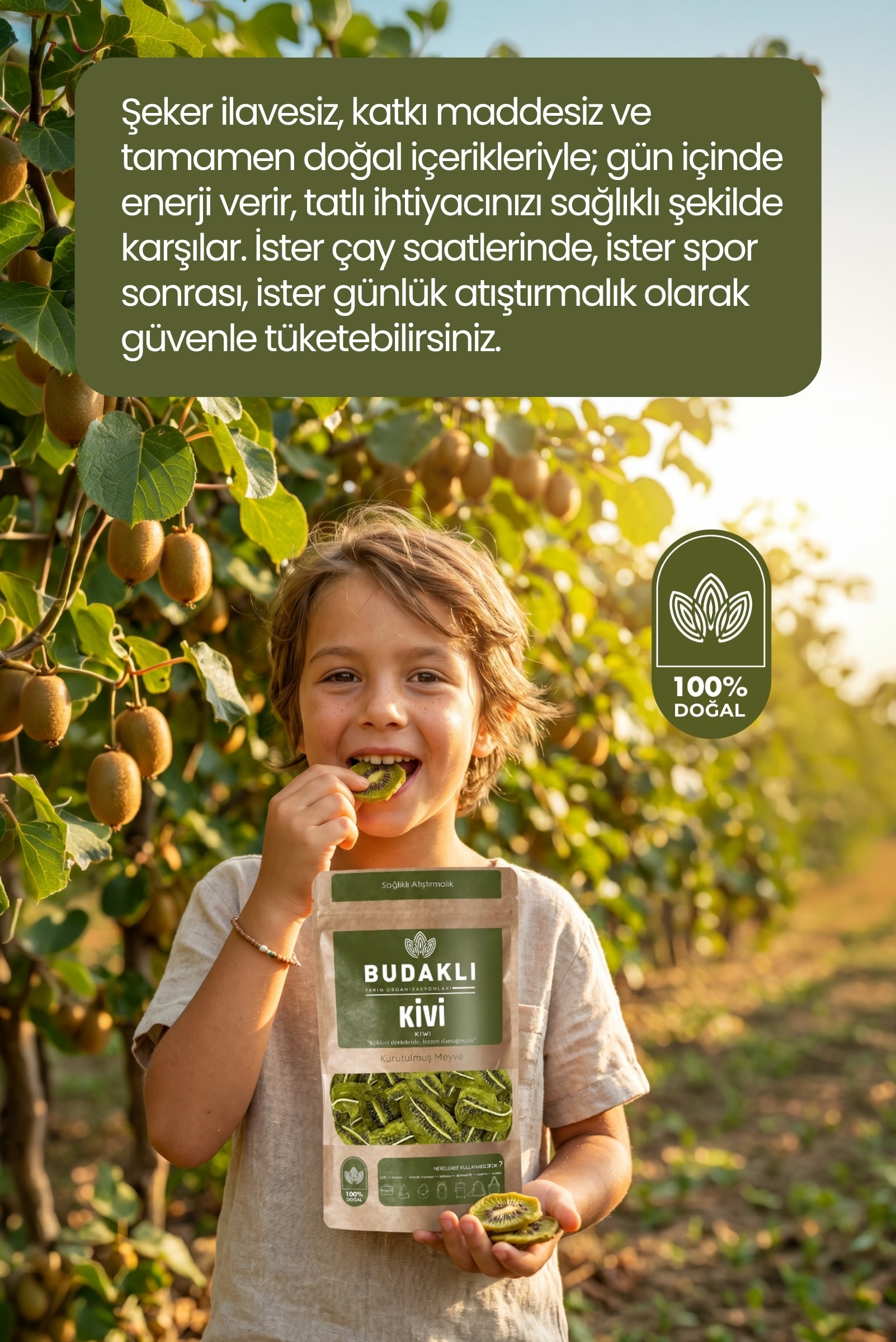 Budaklı Tarım Kurutulmuş Kivi 100 Gr | İlave Şeker İçermez