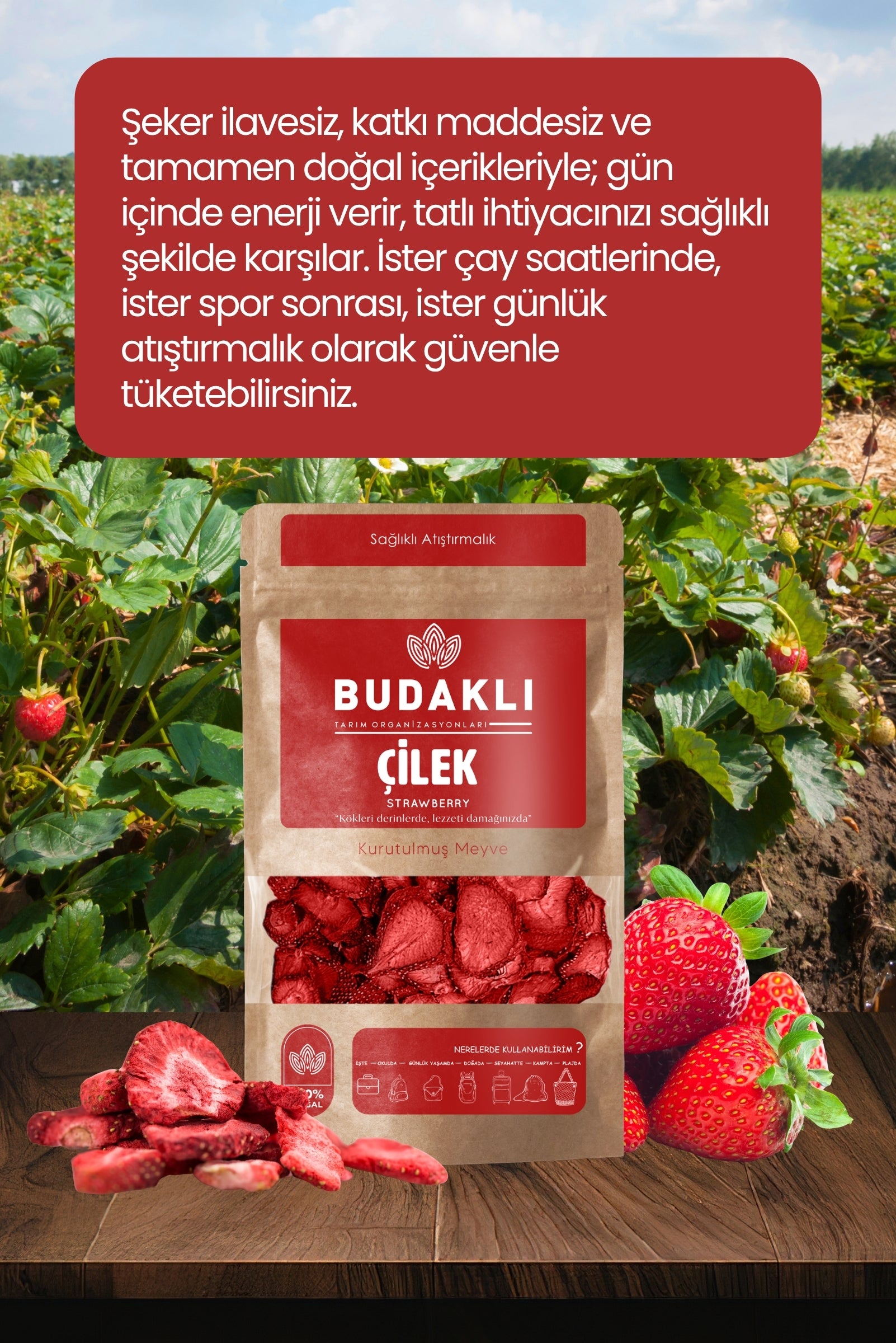Budaklı Tarım Kurutulmuş Çilek 100 Gr | İlave Şeker İçermez