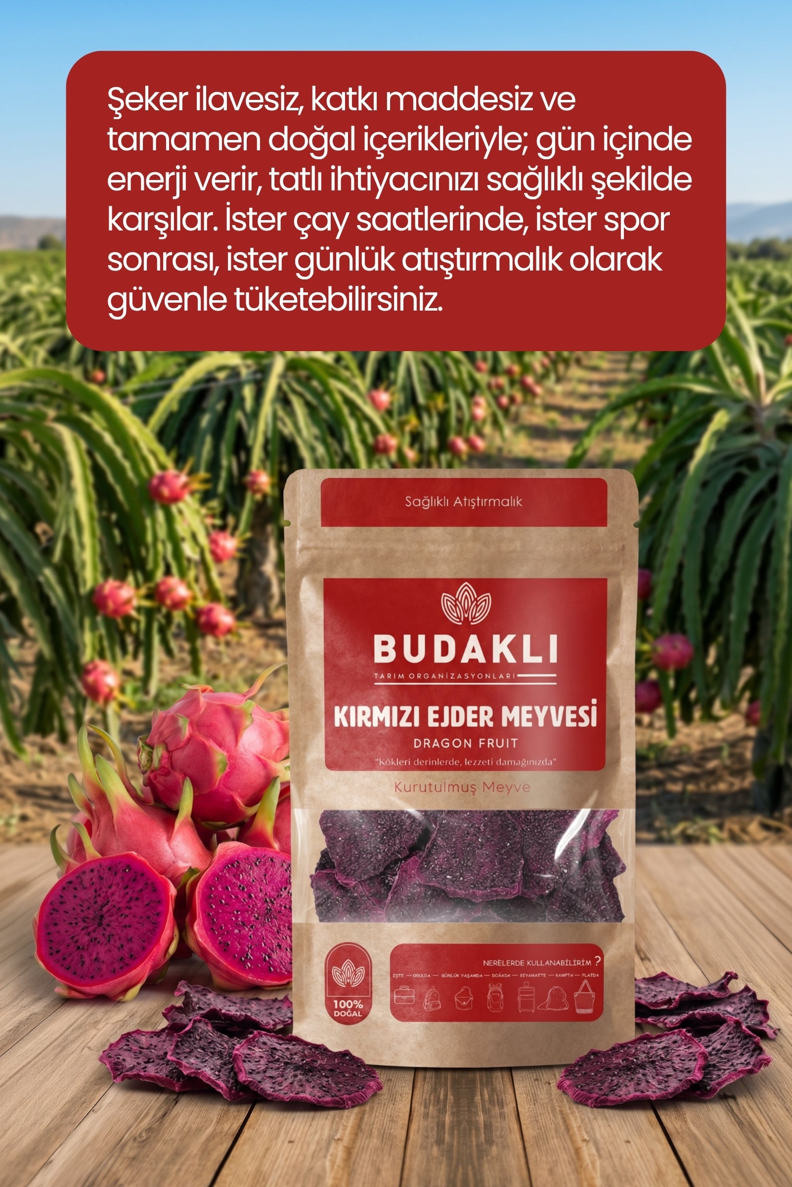 Budaklı Tarım Kurutulmuş Kırmızı Ejder Meyvesi 100 Gr | İlave Şeker İçermez