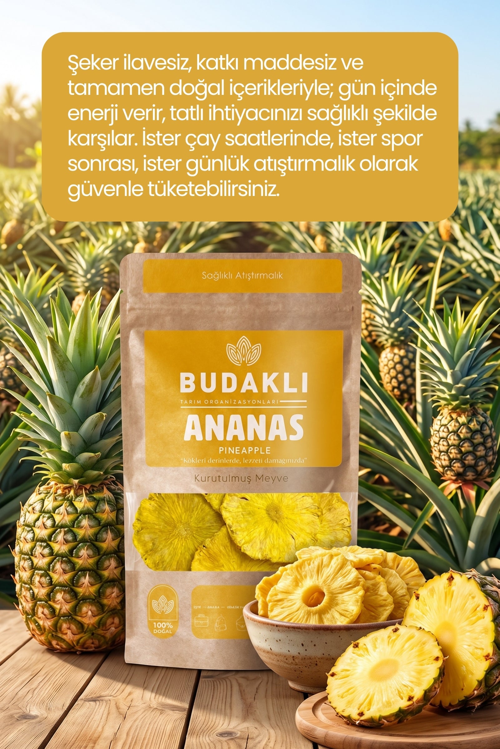 Budaklı Tarım Kurutulmuş Ananas 100 Gr | İlave Şeker İçermez