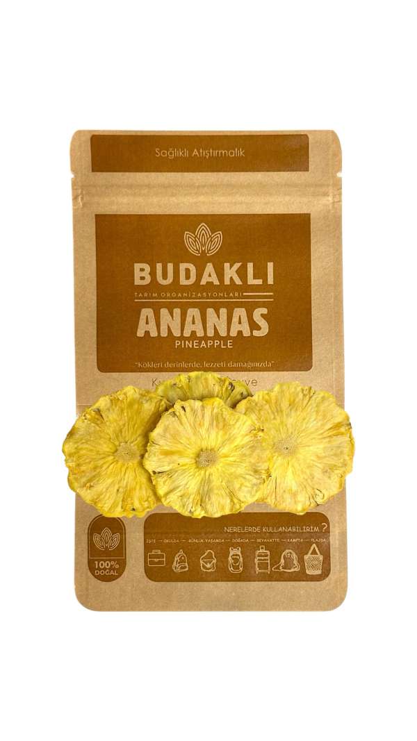 Ananas Kurusu 100 Gr.